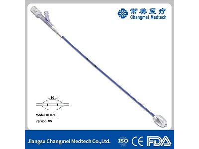 Analysis de processu fluxus endoscope accessiones